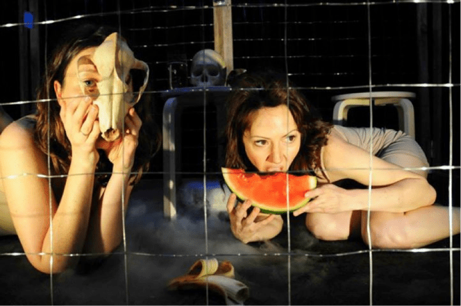 Image by Tamaryn Goodyear